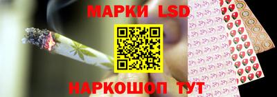 альфа пвп Заводоуковск