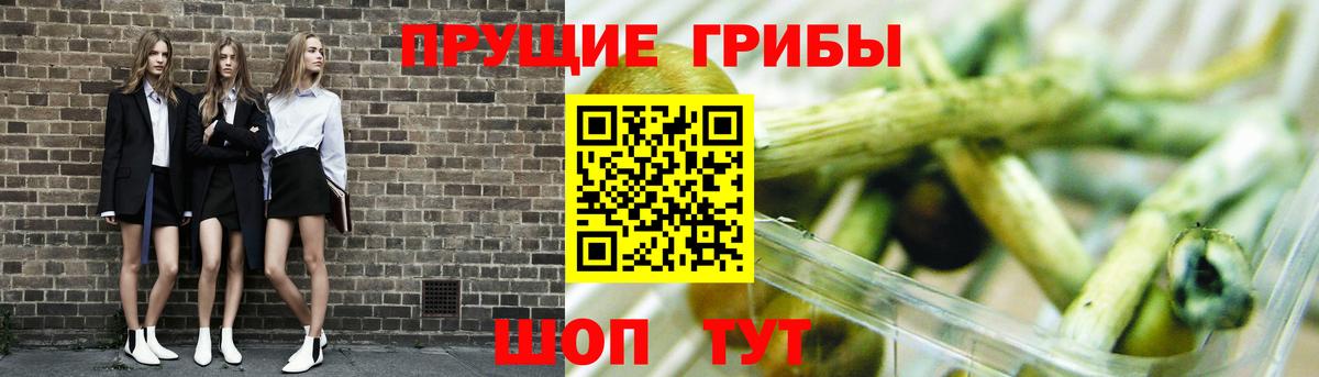 Минеральные Воды  Галлюциногенные грибы Magic Shrooms  Галлюциногенные грибы Psilocybine cubensis  Вход с VPN 